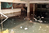 Loạt biệt thự tiền tỷ Thiên đường Bảo Sơn nuôi... côn trùng