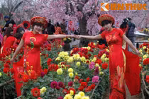 Thiếu nữ áo mỏng chụp ảnh với hoa giữa rét Hà thành