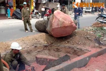 Xót xa cảnh đốn hạ hàng loạt xà cừ trên đường Nguyễn Trãi