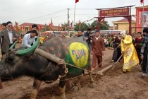 Cận cảnh “Vua” cày ruộng khai xuân ở lễ hội Tịch điền