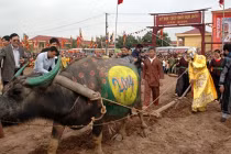 Cận cảnh “Vua” cày ruộng khai xuân ở lễ hội Tịch điền