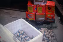 Vận chuyển “bom” còn gây tai nạn