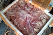 7 tạ lòng lợn thối suýt lên bàn nhậu