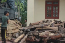 Hơn 1,5 tấn gỗ quý vận chuyển bằng máy bay bị bắt