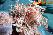 Bắt 2 tấn mực khô từ Trung Quốc nghi làm bằng cao su