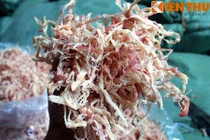 Bắt 2 tấn mực khô từ Trung Quốc nghi làm bằng cao su