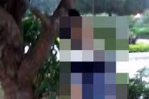 Phát hiện người treo cổ chết trên cành cây