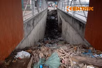 Hầm đi bộ tiền tỉ ở Hà Nội thành... bãi rác, thối um