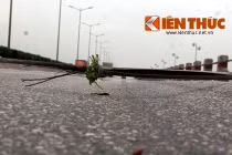 Quốc lộ, mặt cầu nào lún, lượn sóng... “đẹp” nhất VN?