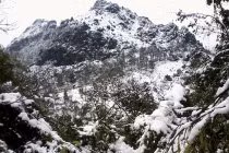 Tuyết tan nhanh ở Sapa