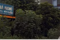 Nghi phạm giết dã man vợ chồng chủ nhà nghỉ 