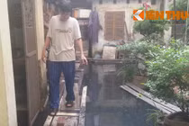 Thảm cảnh dân Hà Nội sống biệt thự... hít nước cống thối