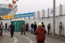 Những hình ảnh rất xấu trong lễ hội chọi trâu ở Hà Nội