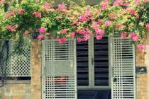 Chuẩn bị xây nhà phải chú ý những yếu tố phong thủy nào? 