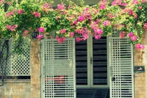 Chuẩn bị xây nhà phải chú ý những yếu tố phong thủy nào? 