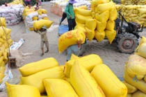 Hải quan mở tờ khai xuất khẩu gạo lúc nửa đêm, Phó Thủ tướng yêu cầu 2 Bộ báo cáo