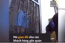 Video:Chú chó 8 tuổi là nhân viên giao hàng cho quán tạp hóa