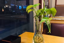 Chồng phụ bạc còn gieo tiếng ác khiến tôi chẳng dám nhìn mặt ai 