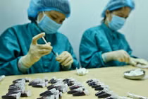 Việt Nam bước sang ngày thứ 99 không có ca lây nhiễm COVID-19 trong cộng đồng