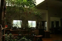 Dấu hiệu nhà phạm âm khí, gia chủ làm gì cũng hao tài tán của