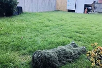 Muốn tăng trải nghiệm, chàng trai tậu nguyên bộ đồ ngụy trang cực ngầu trong game 