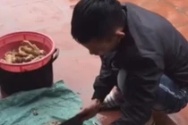 Ra mắt gia đình người yêu, chàng trai áp lực vì bị nhà gái “giám sát”