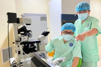 Ghép trứng non và tinh tử - đột phá trong điều trị hiếm muộn