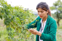 Cuộc sống hiện tại của Hoa hậu nhiều con nhất showbiz Việt