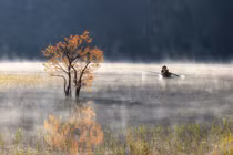 Hồ Tuyền Lâm - bức tranh thiên nhiên tuyệt tác của Đà Lạt