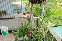 Ám ảnh các vụ cháy, tôi quyết không hàn lối thông sang nhà bên