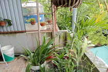 Ám ảnh các vụ cháy, tôi quyết không hàn lối thông sang nhà bên