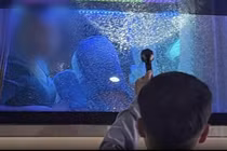 Nhiều xe khách bị ném vỡ kính trên cao tốc TP HCM