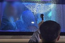 Nhiều xe khách bị ném vỡ kính trên cao tốc TP HCM