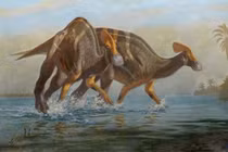 Phát hiện hóa thạch của loài khủng long đã tuyệt chủng 72 triệu năm