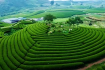 Mộc Châu với kỳ vọng trở thành điểm đến du lịch năng động