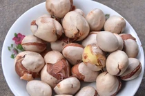 Hạt mít - "thần dược" chữa ung thư đang bị nhiều người vứt bỏ