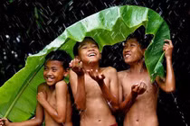 Khi trưởng thành, anh chị em ruột không còn là người một nhà 