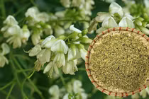 4 thảo dược dễ kiếm giúp đẩy lùi tắc nghẽn động mạch 