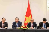 Tổng Bí thư, Chủ tịch nước Tô Lâm gặp trí thức kiều bào cộng đồng Pháp ngữ