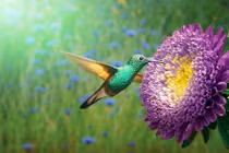 Tháng 2, bốn con giáp được ban phước lành, gặp điều cát tường