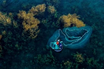 Mùa rong mơ, biển Nhơn Hải khoác lớp áo mới như trong cổ tích