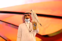 Chim ưng quý hiếm Gyrfalcon được bán với giá 2,3 tỷ đồng