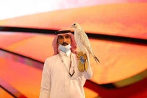 Chim ưng quý hiếm Gyrfalcon được bán với giá 2,3 tỷ đồng