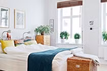 Phòng ngủ nhất định phải có loại cây này để phúc lớn tiền nhiều