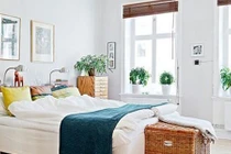 Phòng ngủ nhất định phải có loại cây này để phúc lớn tiền nhiều