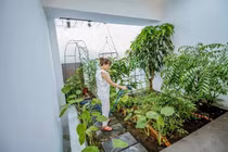 Xây nhà phố 2 tầng xinh xắn và rợp bóng cây với 600 triệu đồng