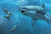 Hóa trang tránh cá mập tấn công