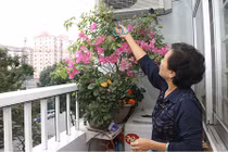 Bí kíp thiết kế ban công đẹp, an toàn 