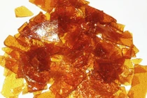 Lý giải hiện tượng mất mùa cánh kiến