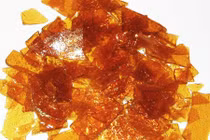 Lý giải hiện tượng mất mùa cánh kiến